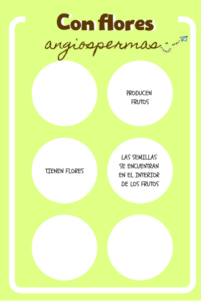 Diario de un explorador: plantas